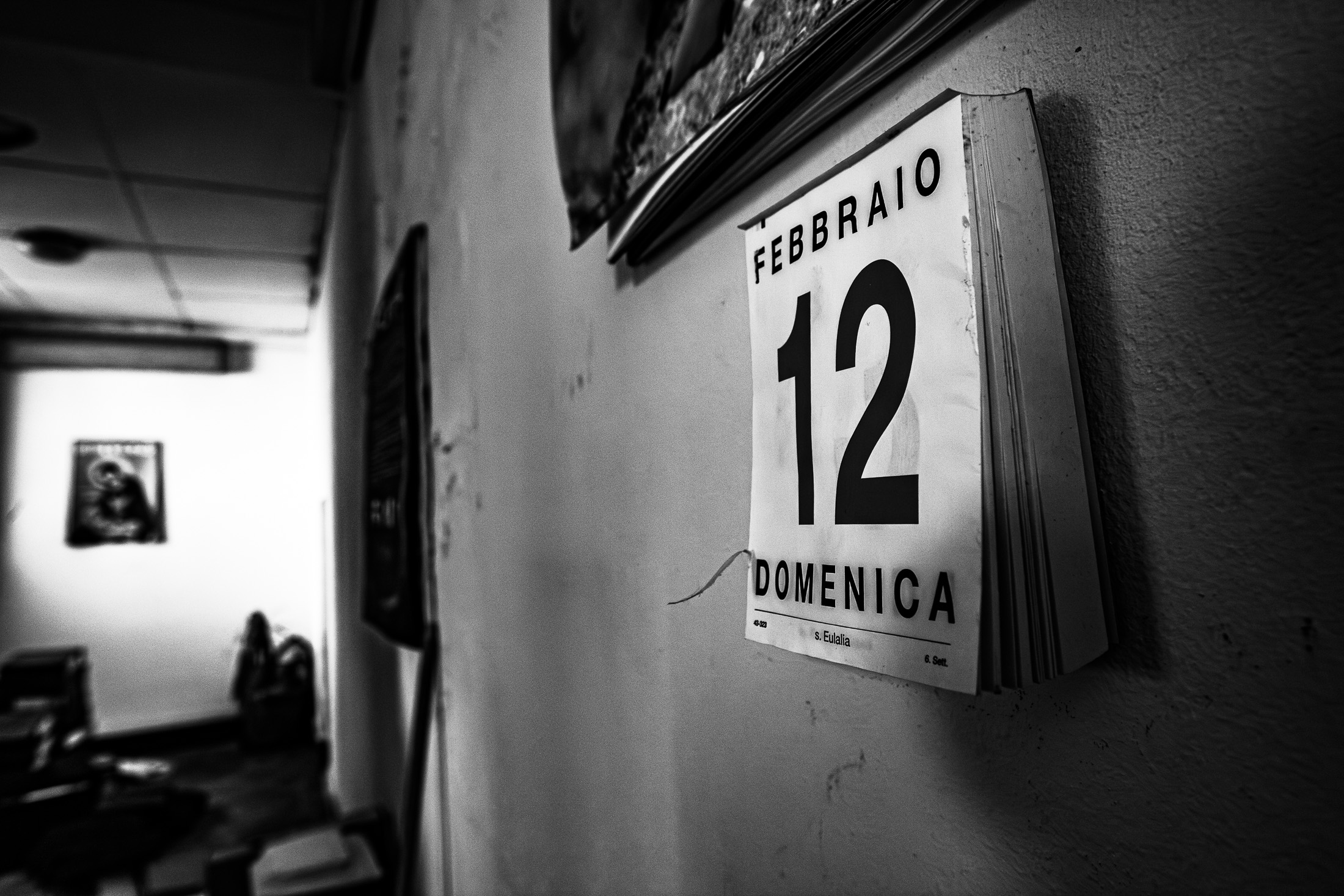 _MG_5917